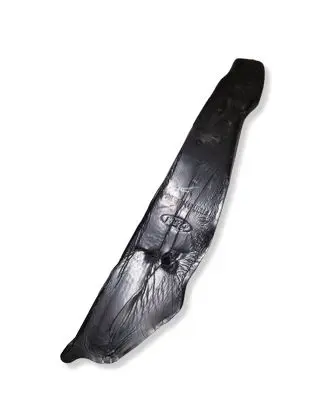 Ford Mustang VI Fender foam support/seal 