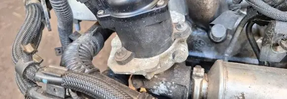 EGR valve