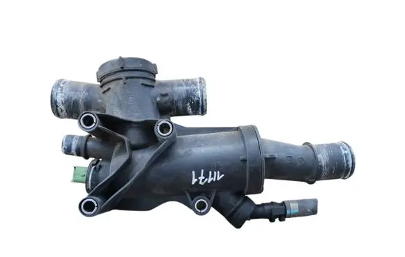 Thermostat/thermostat housing