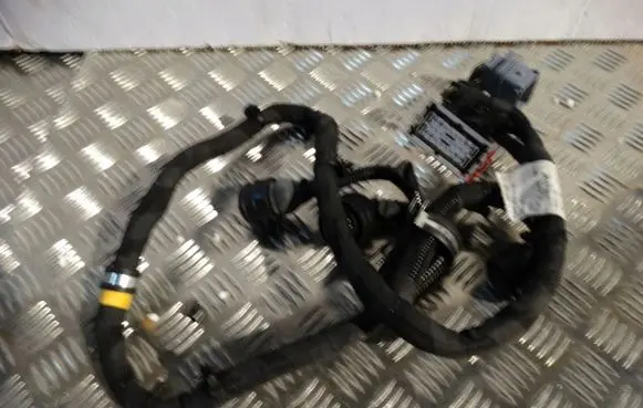 Ferrari 458 Wiring harness 