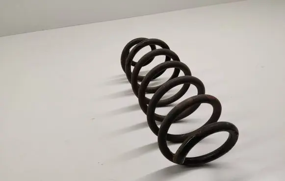 Rear coil spring