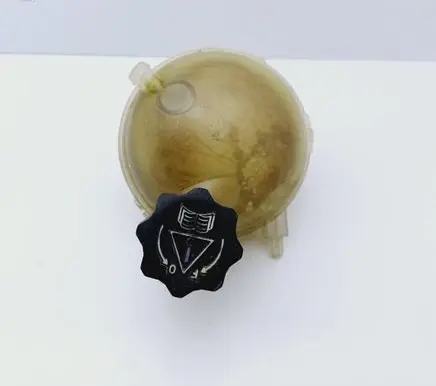Peugeot 307 Coolant expansion tank/reservoir 