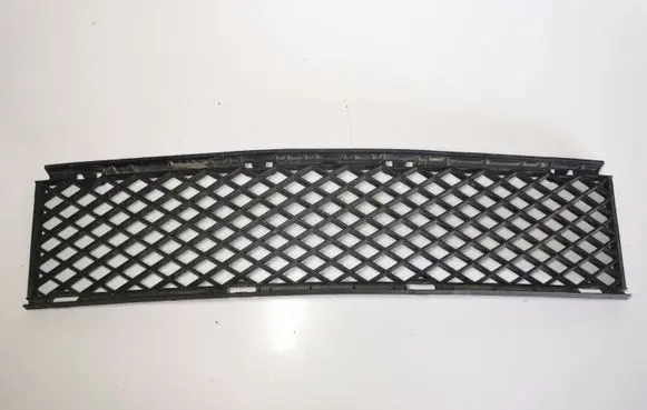 BMW 7 E65 E66 Front bumper lower grill 7135573