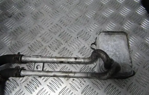 Volkswagen Golf V Engine oil radiator 03c117021e
