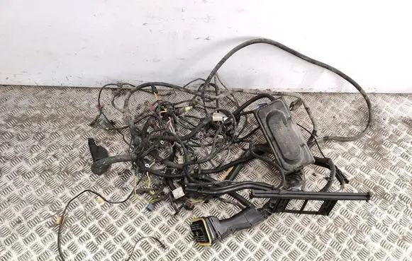Engine installation wiring loom