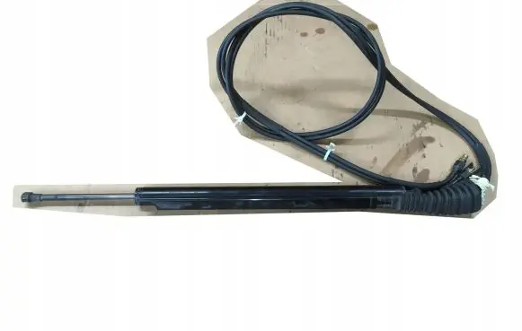 Tailgate strut