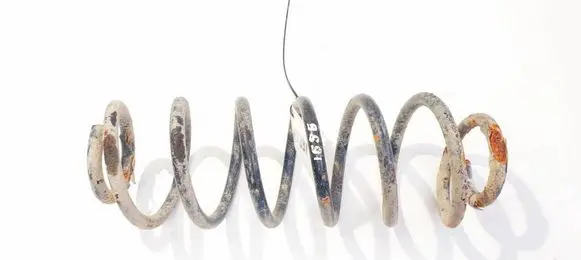 Rear coil spring