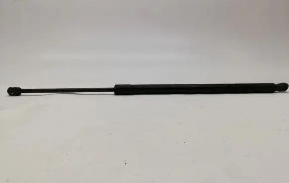 Tailgate/trunk strut/damper