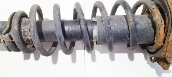 Rear coil spring