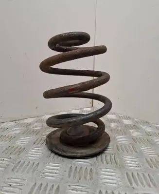 Rear coil spring