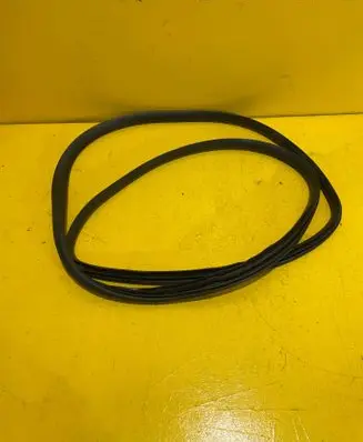 Nissan Note (E11) Front door rubber seal 005P