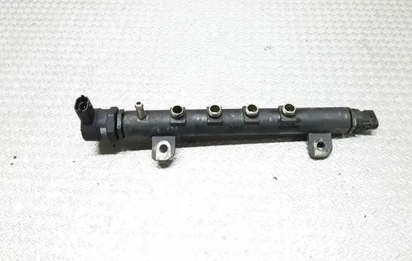 Opel Signum Fuel main line pipe 0445214057 55200251