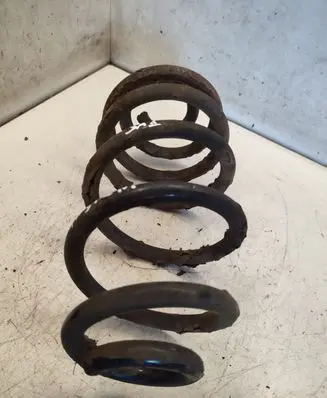 Opel Insignia A Rear coil spring