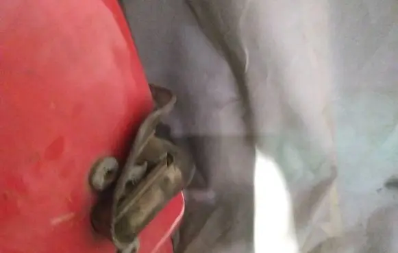 Front door lock