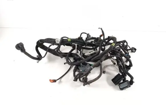 Engine installation wiring loom