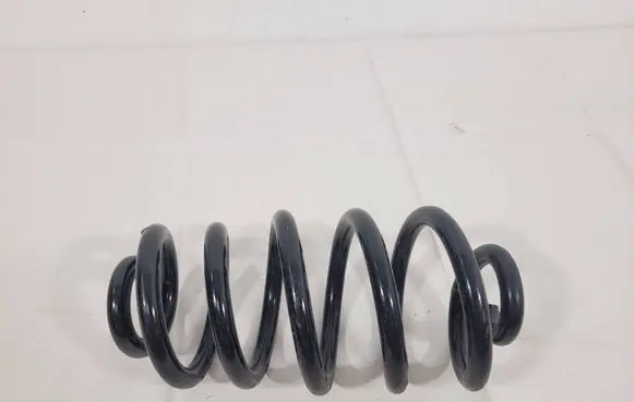 Rear coil spring