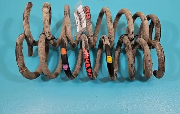 Rear coil spring