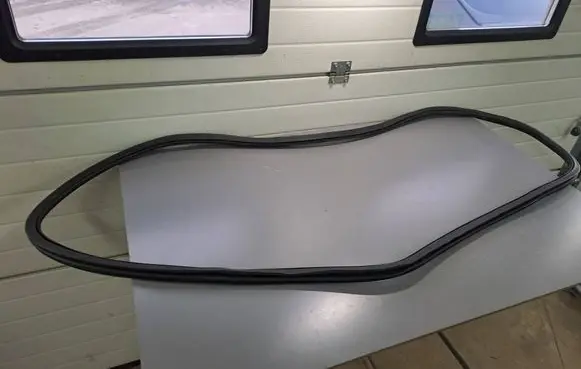 BMW X7 G07 Rear door rubber seal (on body) 7431142