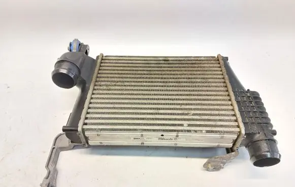Opel Vivaro Coolant radiator 9806562180JLK01