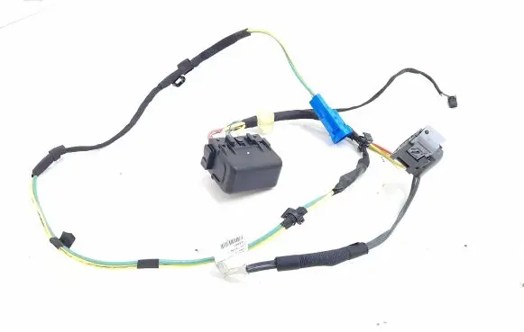 Renault Scenic III - Grand scenic III Other wiring loom T1006384K 131645 CTP1000W