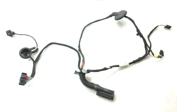 Front door wiring loom