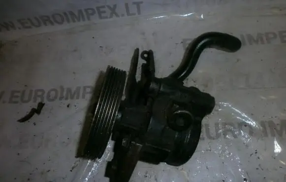 Renault 19 Power steering pump