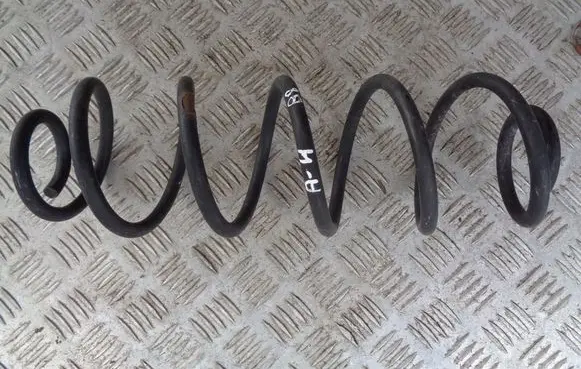 Rear coil spring