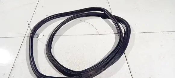 Citroen C3 Rubber seal front coupe door 