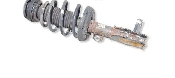 Opel Insignia A Front shock absorber/damper 13245967