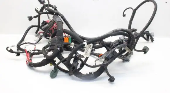 Renault Kangoo III Other wiring loom 240118516R