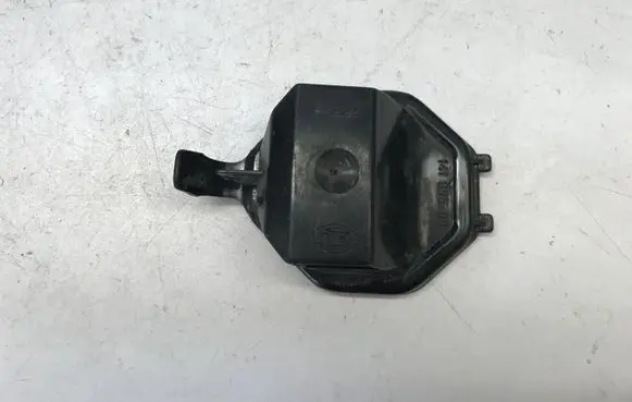 Volkswagen PASSAT B5 Headlight/headlamp dust cover 14199500