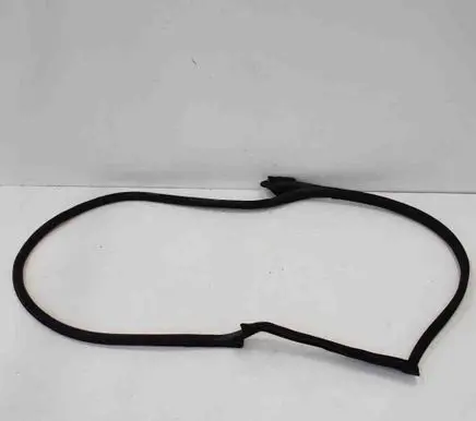 Audi A5 Rubber seal front coupe door 8W8831707
