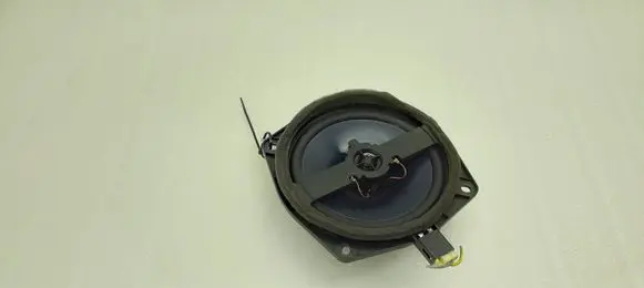 Front door speaker