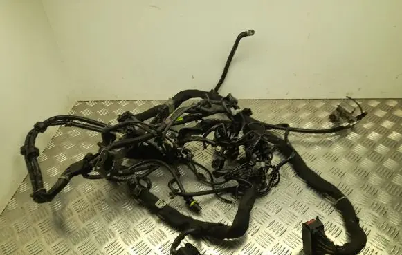 Mercedes-Benz E A207 Engine installation wiring loom A6421505788