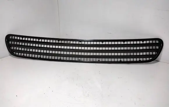 Front bumper lower grill