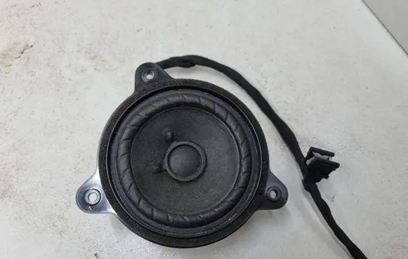 Panel speaker