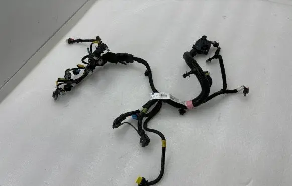 Tesla Model 3 Other wiring loom P206876700B 206876700B