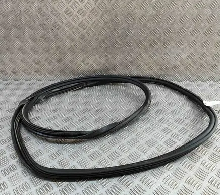 Audi Q5 SQ5 Rubber seal front coupe door 8R0831721F