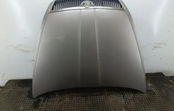 Skoda Octavia Mk2 (1Z) Engine bonnet/hood LF8H