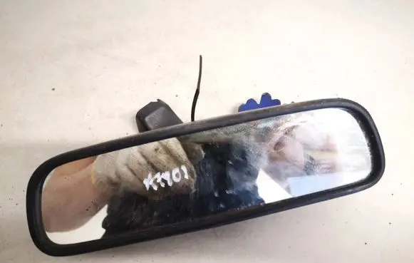 Opel Signum Rear view mirror (interior) e9010080