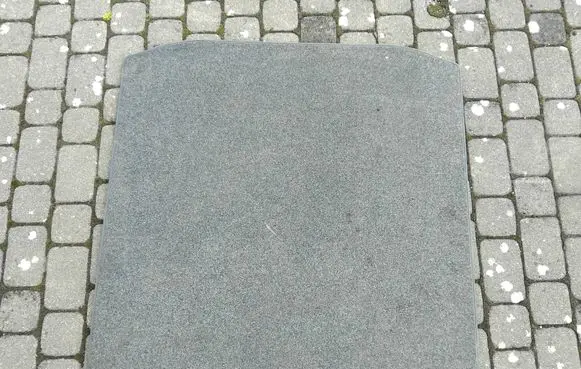 Skoda Octavia Mk3 (5E) Trunk/boot mat liner 5E9862559