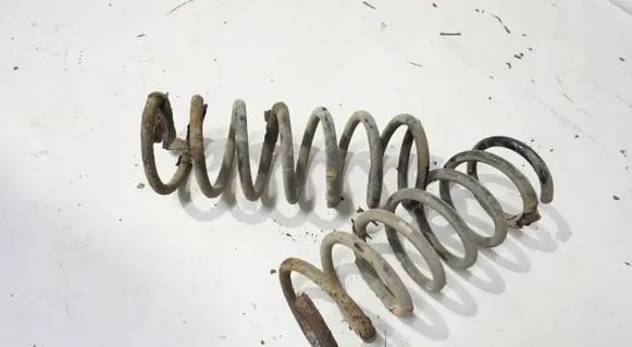 Rear coil spring
