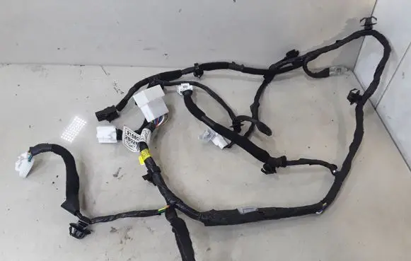 Hyundai Santa Fe Tailgate/trunk wiring harness 916802B020