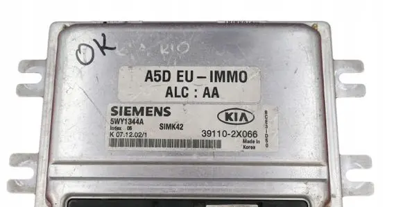 KIA Rio Engine control unit/module 391102X066 5WY1344A