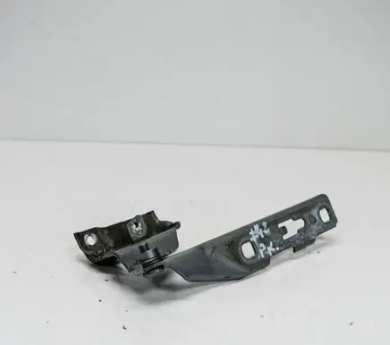 Audi A4 S4 B8 8K Engine bonnet/hood hinges 8K0823301
