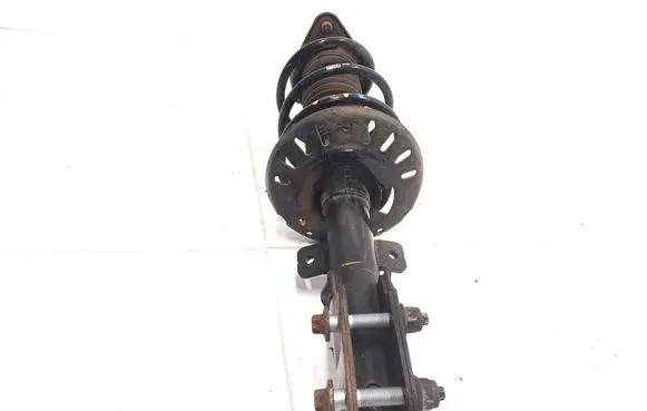 Opel Grandland X Front shock absorber/damper 9819718680