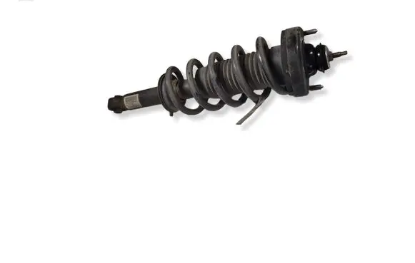 Dodge Journey Rear shock absorber with coil spring P68069958AG
