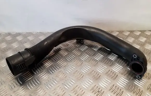 Nissan Juke I F15 Air intake hose/pipe 8200645723
