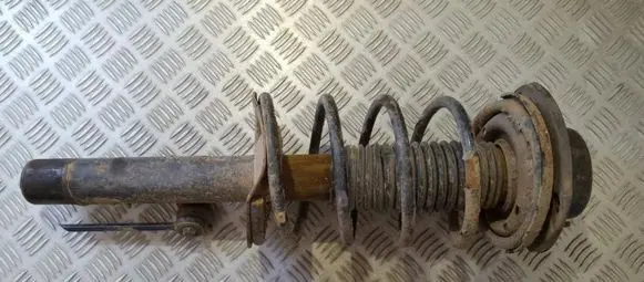 Peugeot 206 Front shock absorber/damper