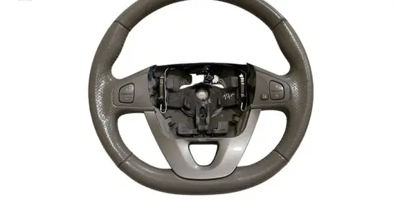 Renault Zoe Steering wheel 484004381R K01047006679
